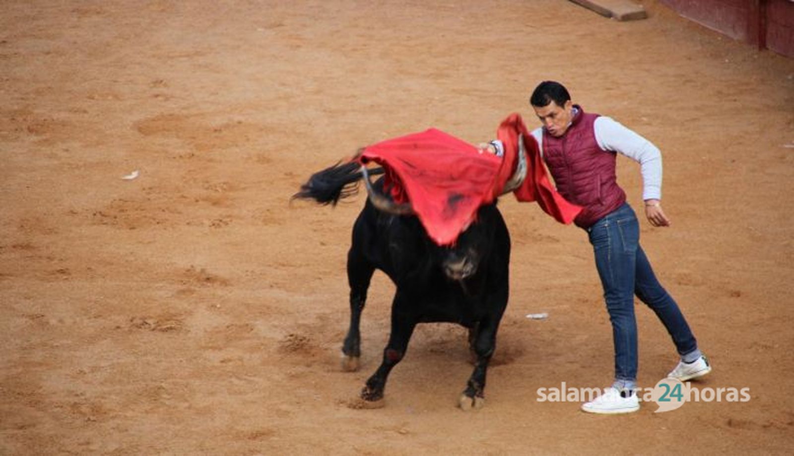 Toro del Aguardiente Ciudad Rodrigo 2025