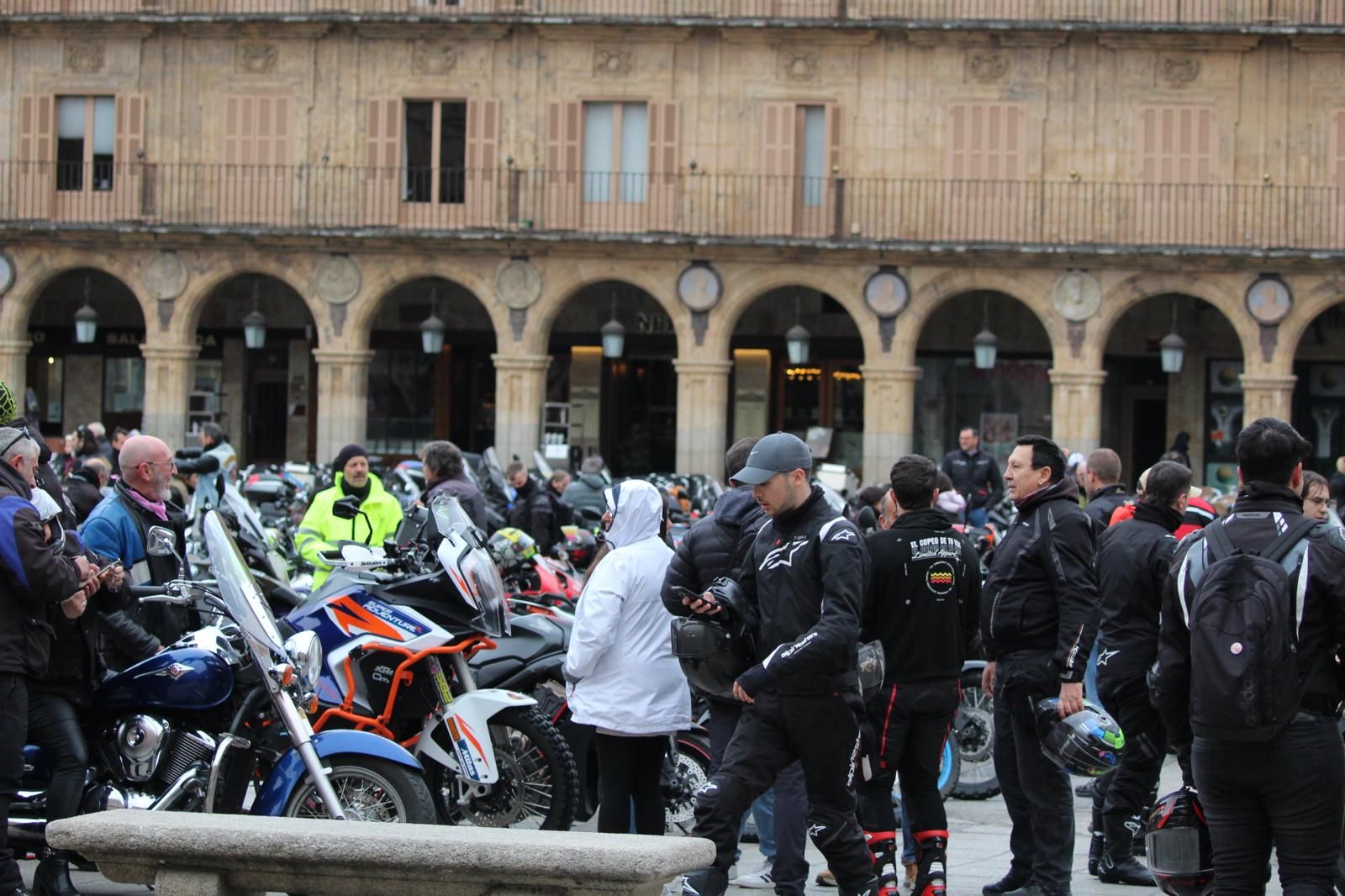 whatsapp-image-2025-03-02-at-10-18-52-7