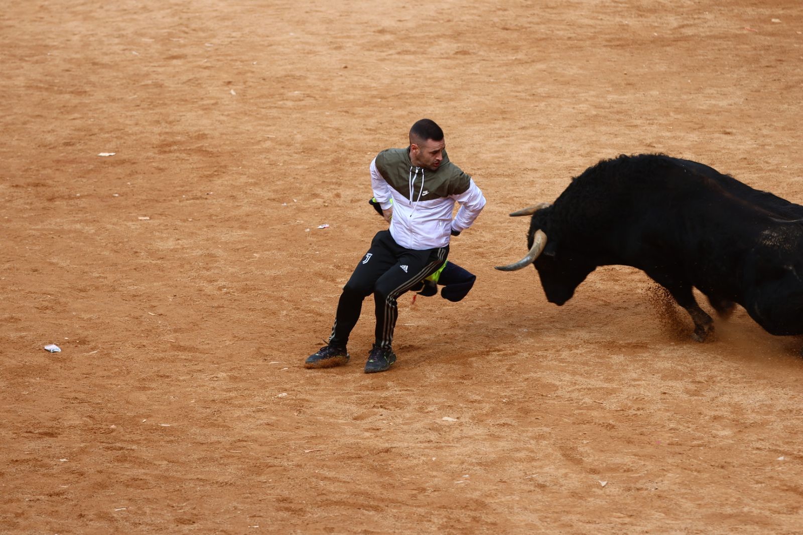 Capea de mañana en el martes del Carnaval del Toro de Ciudad Rodrigo