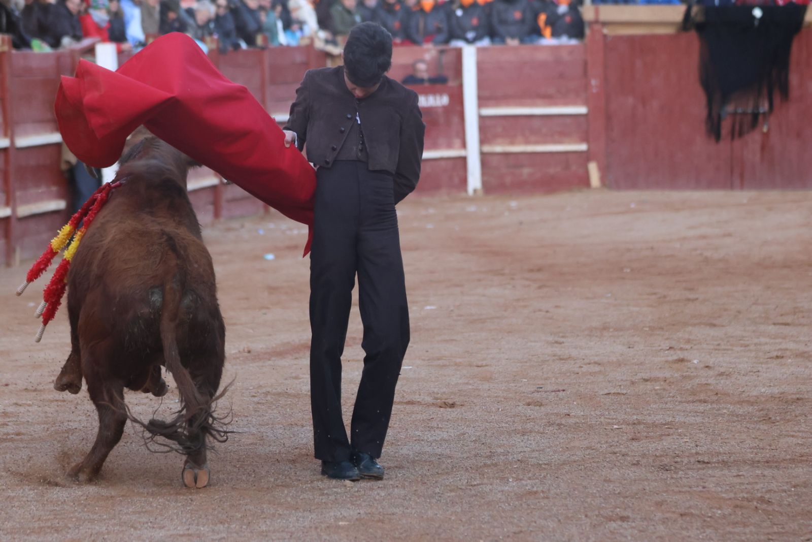 Festival taurino del Sábado en el Carnaval del Toro 2026 de Ciudad Rodrigo