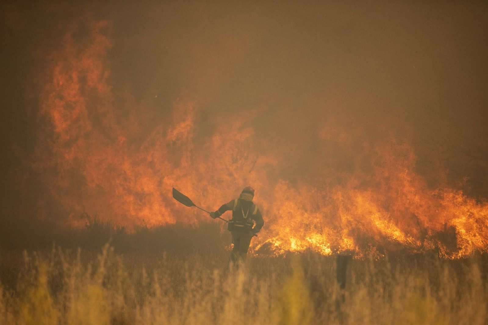 Efectivos de bomberos durante el incendio de la Sierra de la Culebra. Foto: Europa Press. Efectivos de bomberos durante el incendio de la Sierra de la Culebra. Foto: Europa Press.