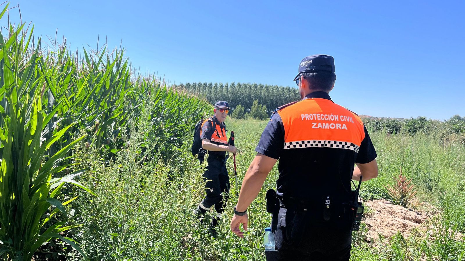 Agrupación Voluntarios Protección Civil Zamora participan en la búsqueda
