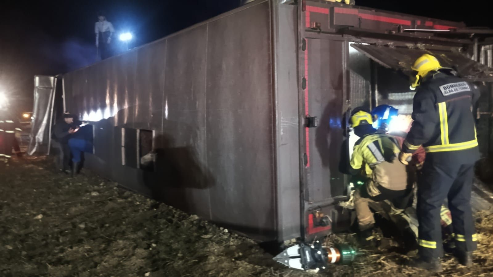 Vuelca un camión cargado de ganado en la SA-114 y deja varios animales muertos