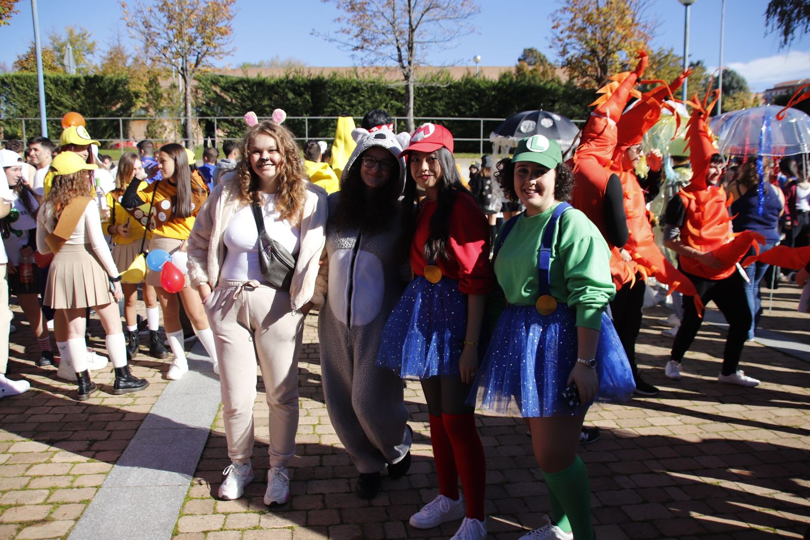 20221110120519-mg-1000