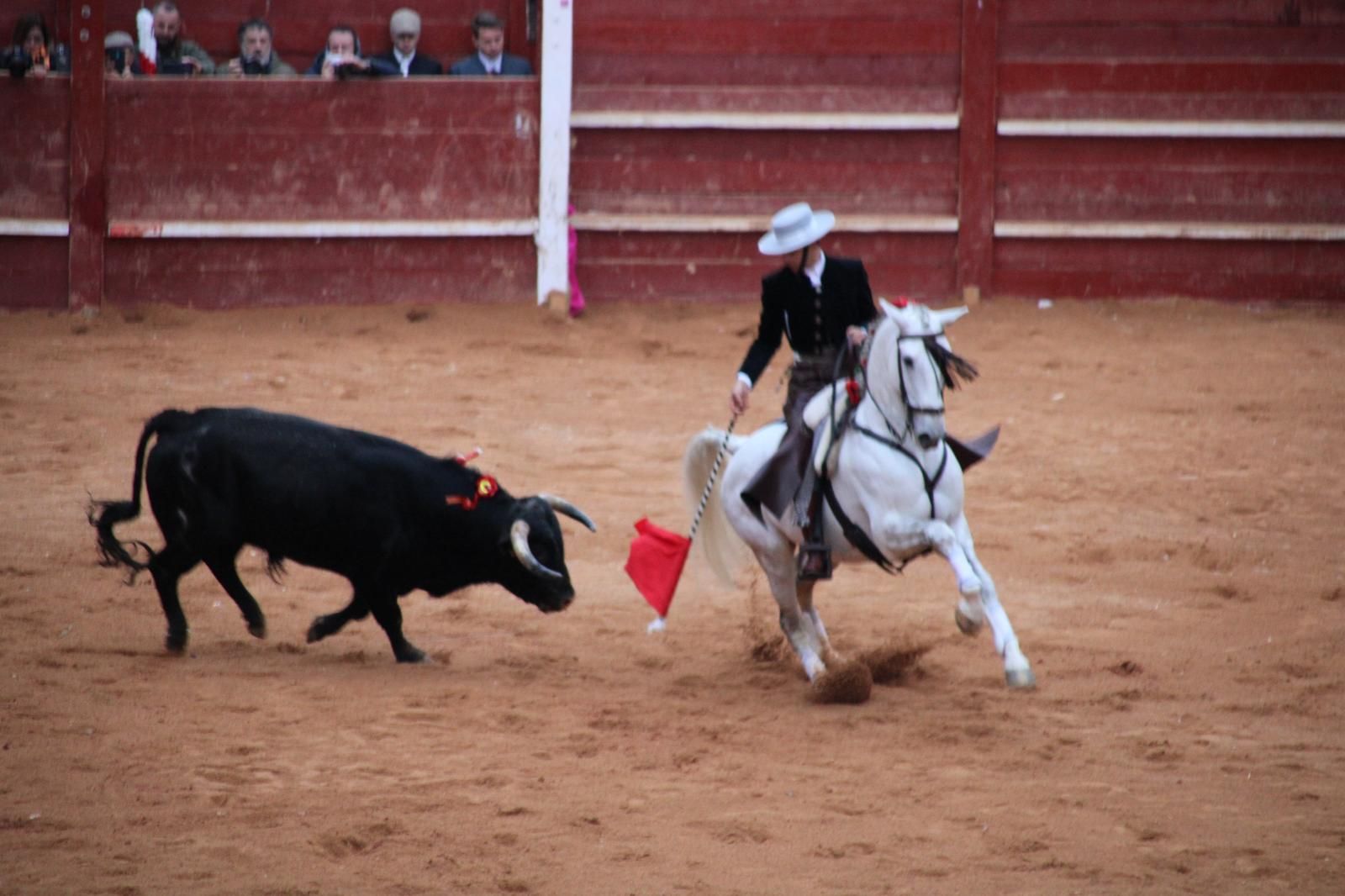 whatsapp-image-2025-03-02-at-18-55-55-1