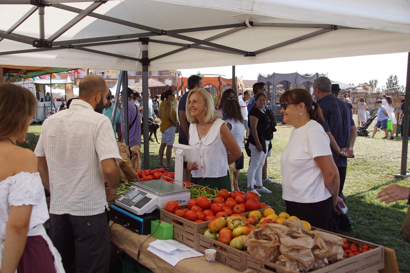 Inauguración del mercado medieval de Alba de Tormes