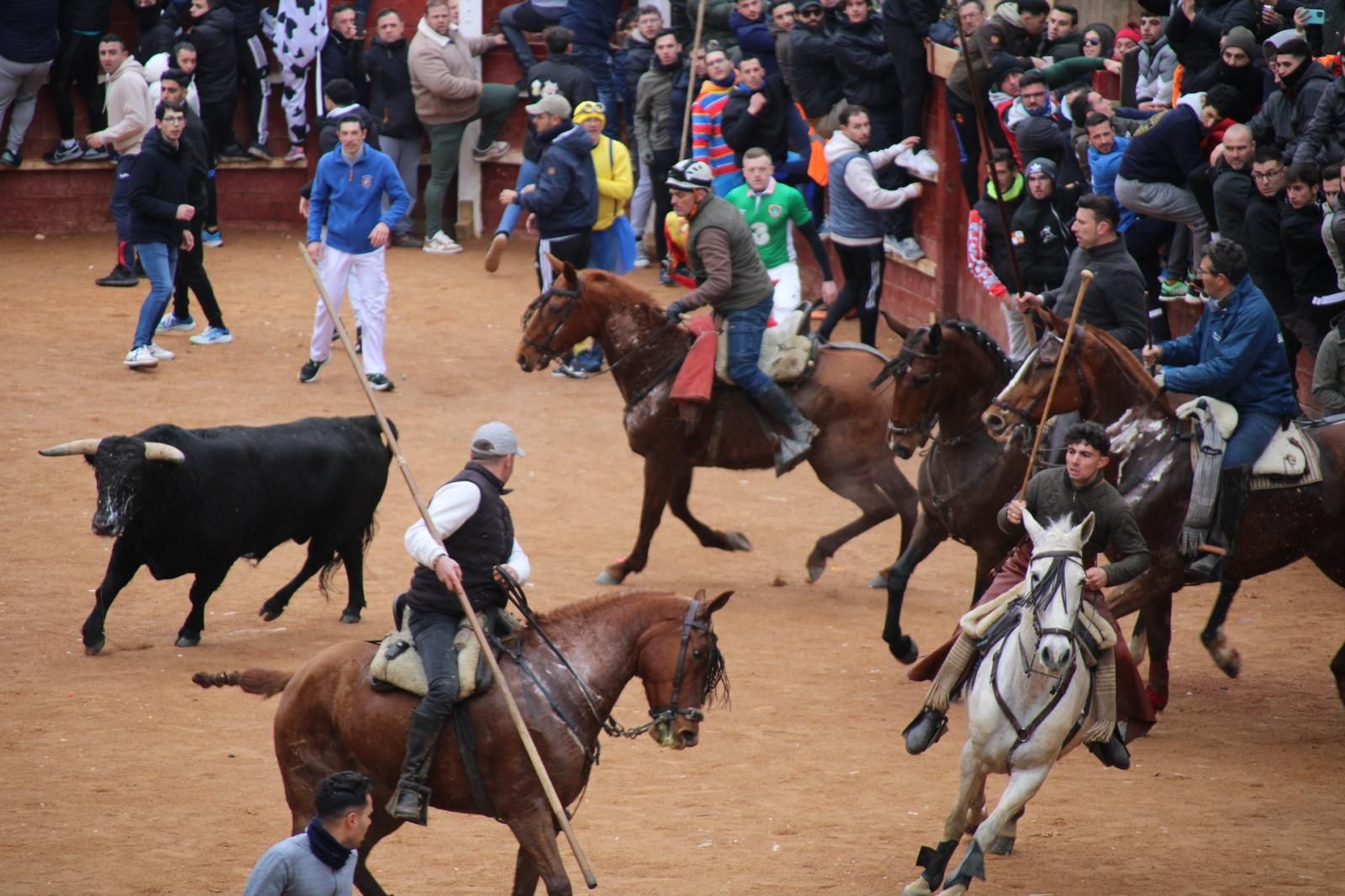 Encierro a Caballo en el Carnaval del Toro 2026 de Ciudad Rodrigo