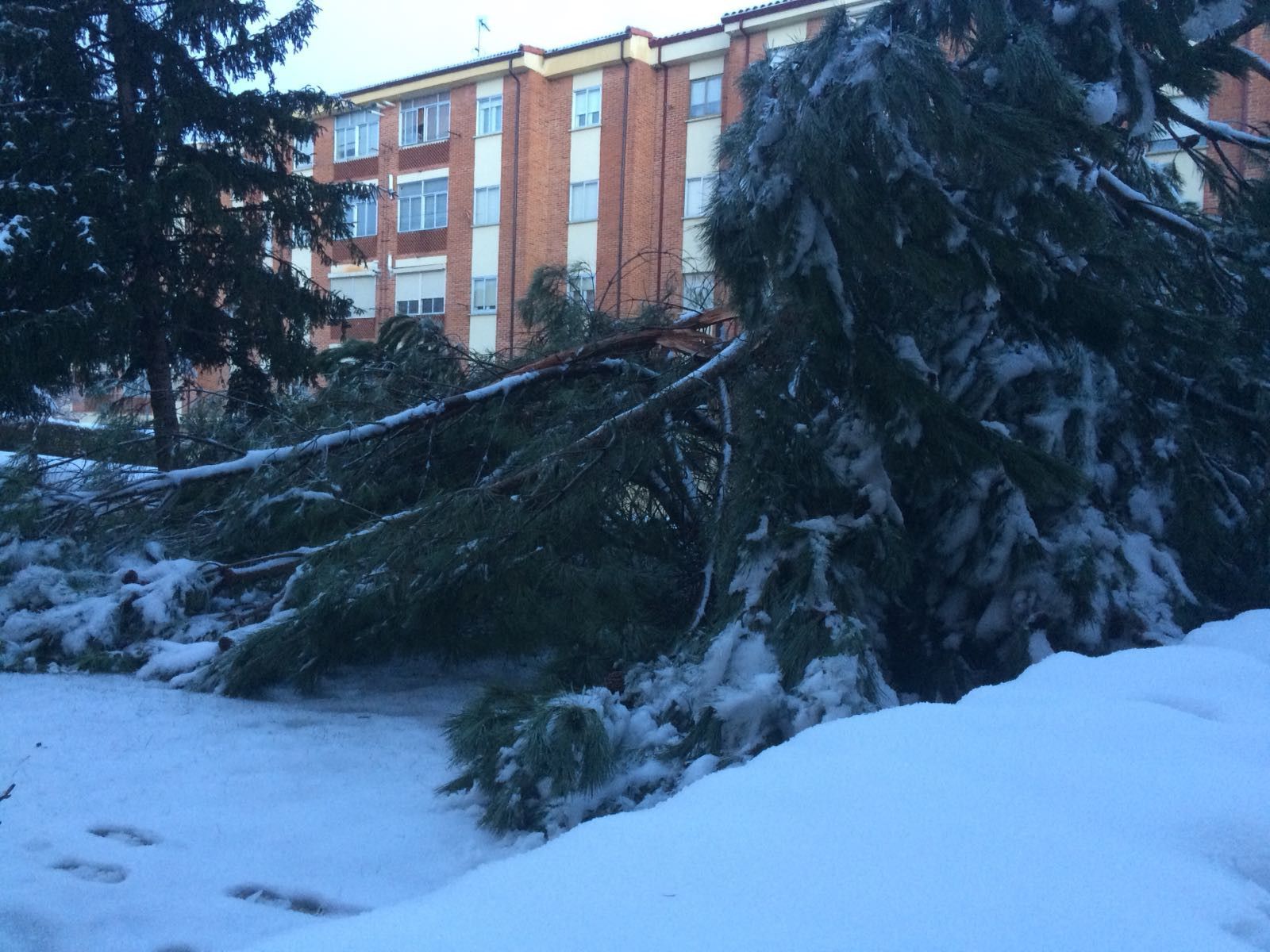 5f8b9748 1506 4464 ace9 1b32b4dfb4e0