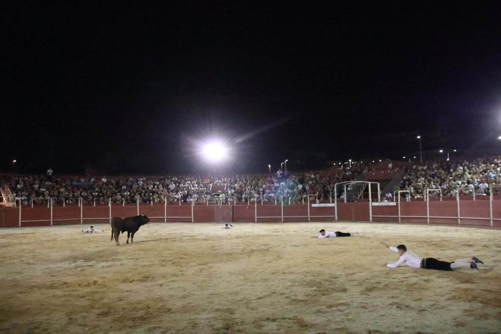 20230814220126-img-2247