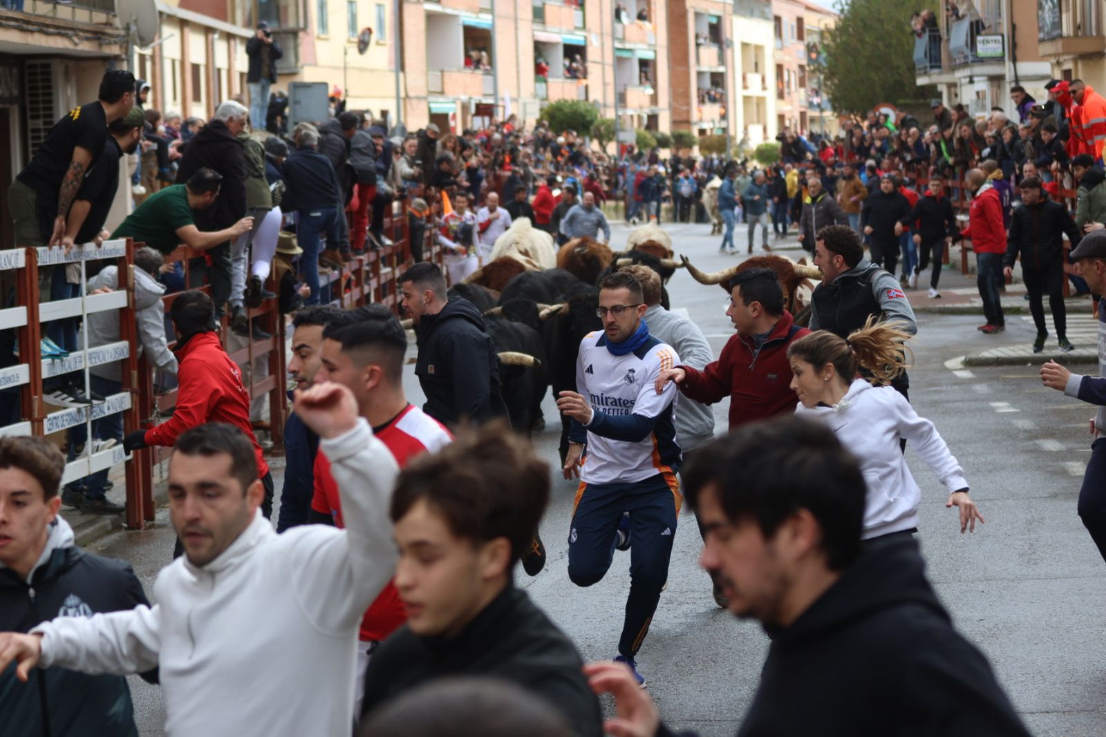 Encierro del lunes de Carnaval en Ciudad Rodrigo, toros de Fermín Bohórquez