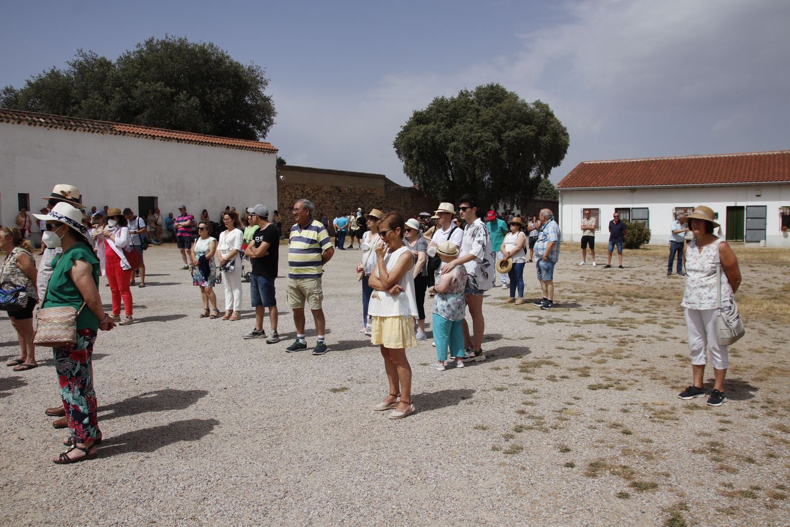 20220618112352-mg-4846