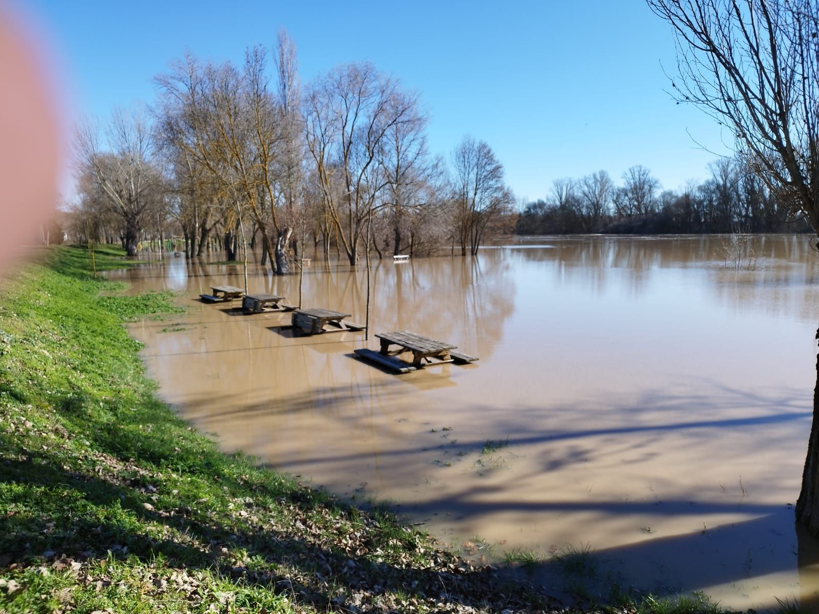 whatsapp-image-2024-01-20-at-13-18-46-3