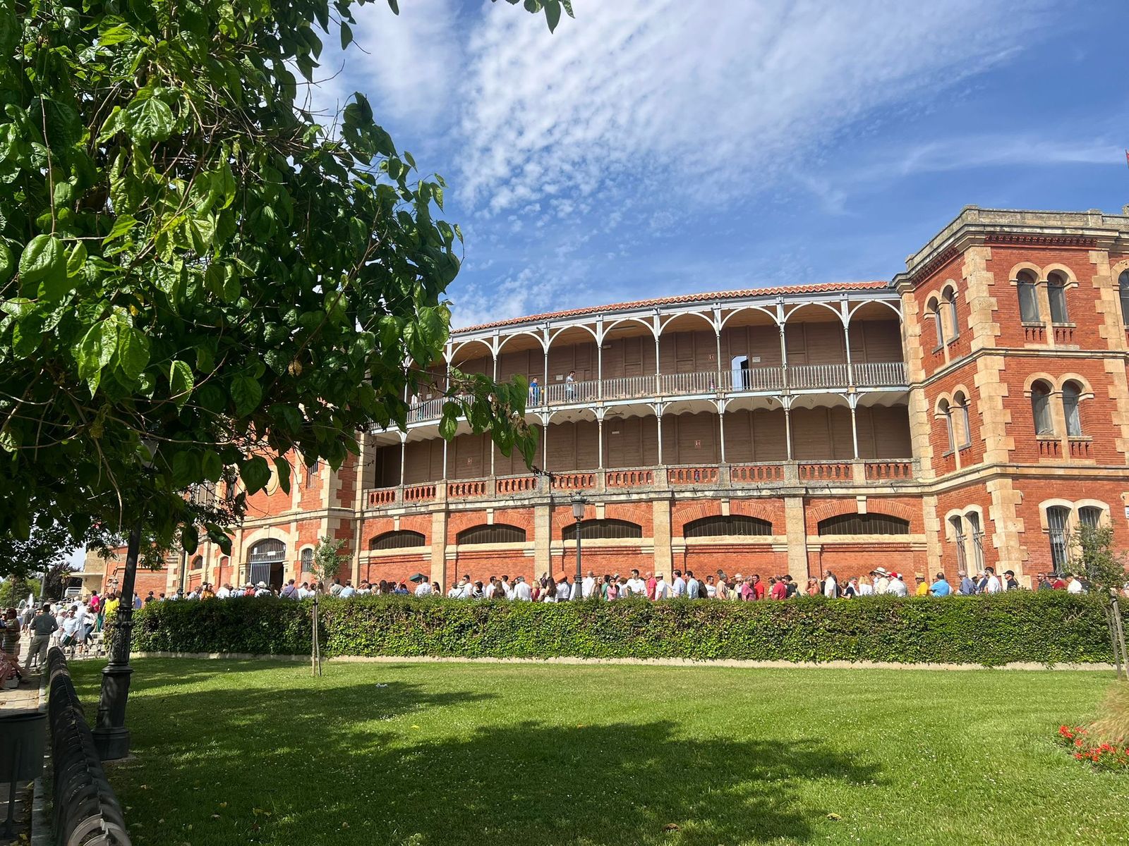 whatsapp-image-2025-06-14-at-17-36-29-2