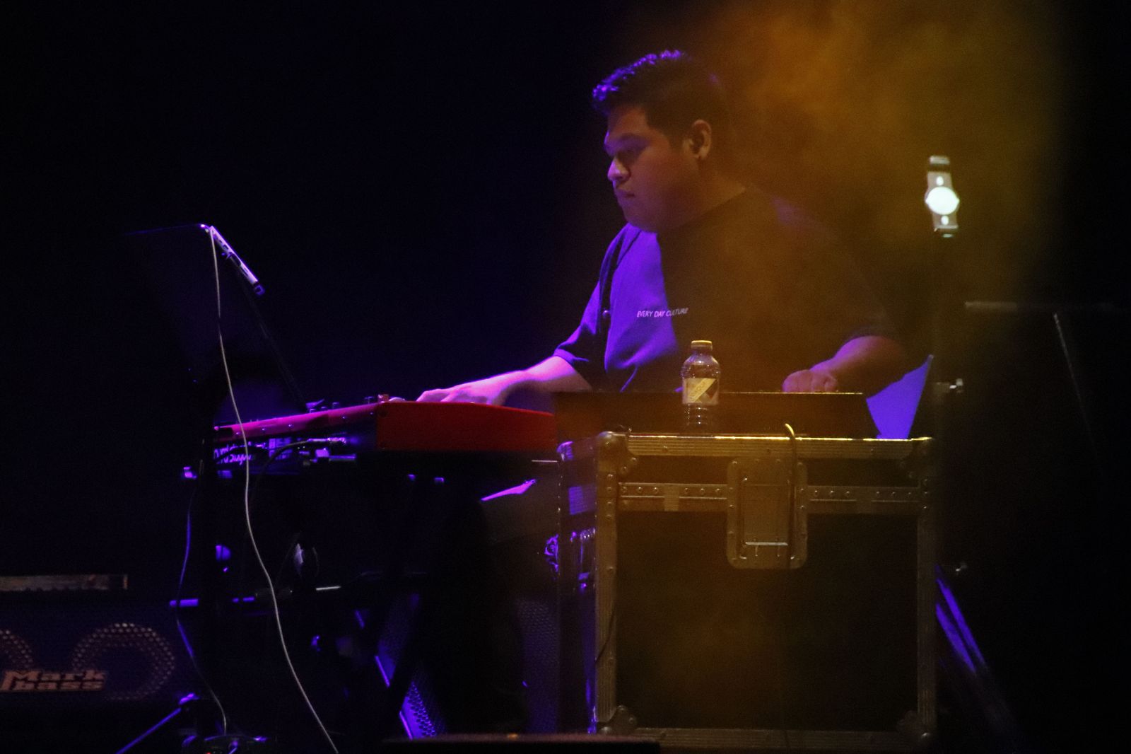 concierto-kiko-y-shara-4