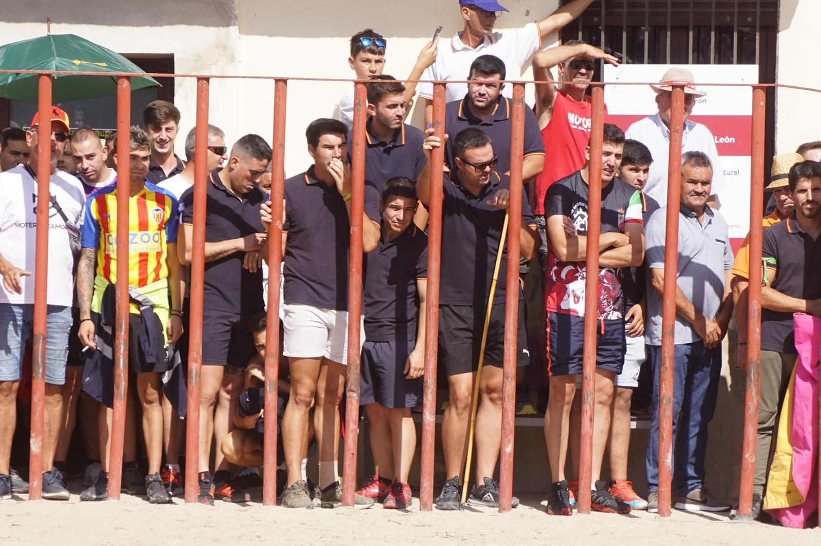 toro-de-cajon-de-castrillo-de-la-guarena-fotos-juanes-27