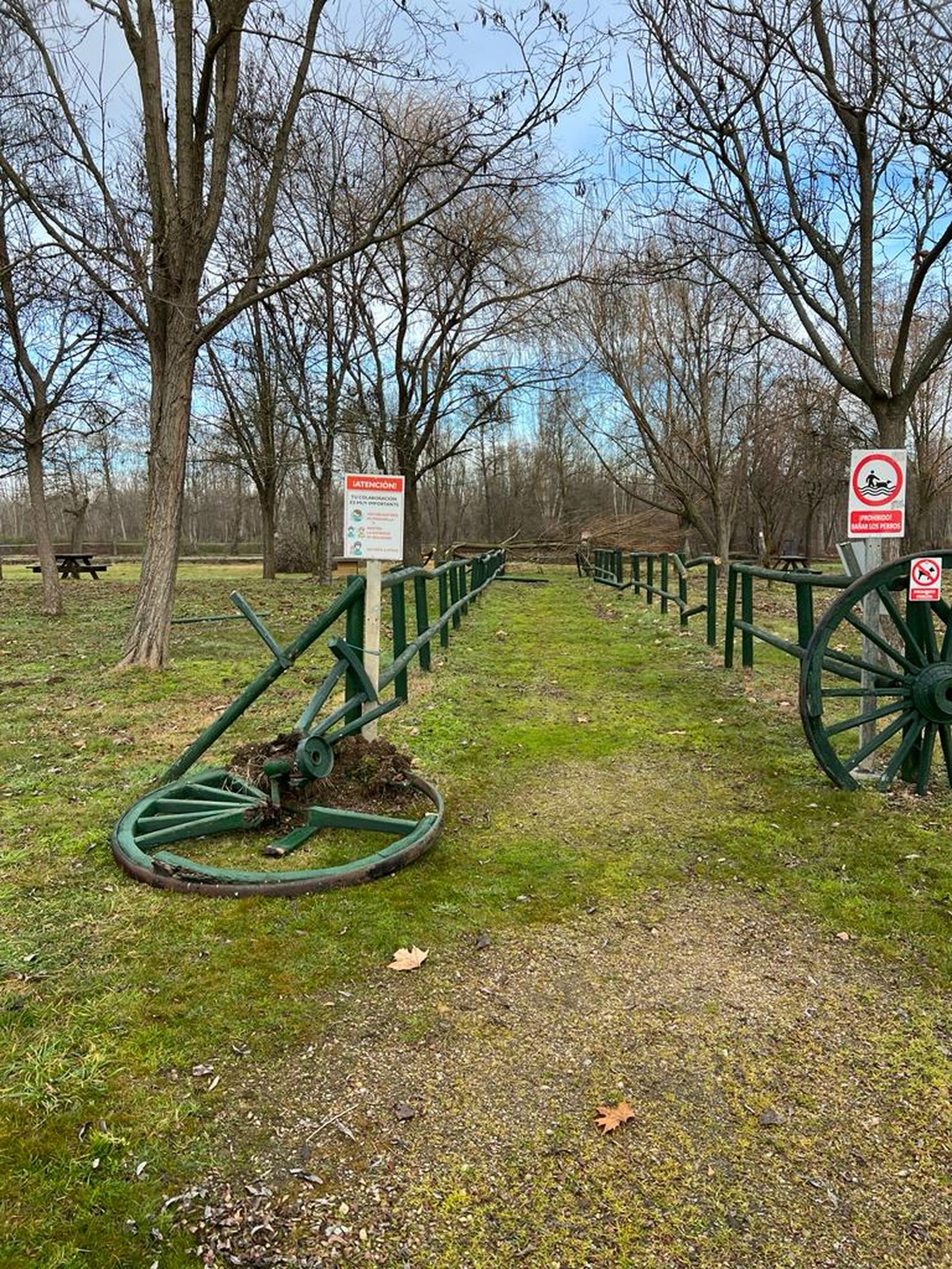 whatsapp-image-2024-01-04-at-13-16-43