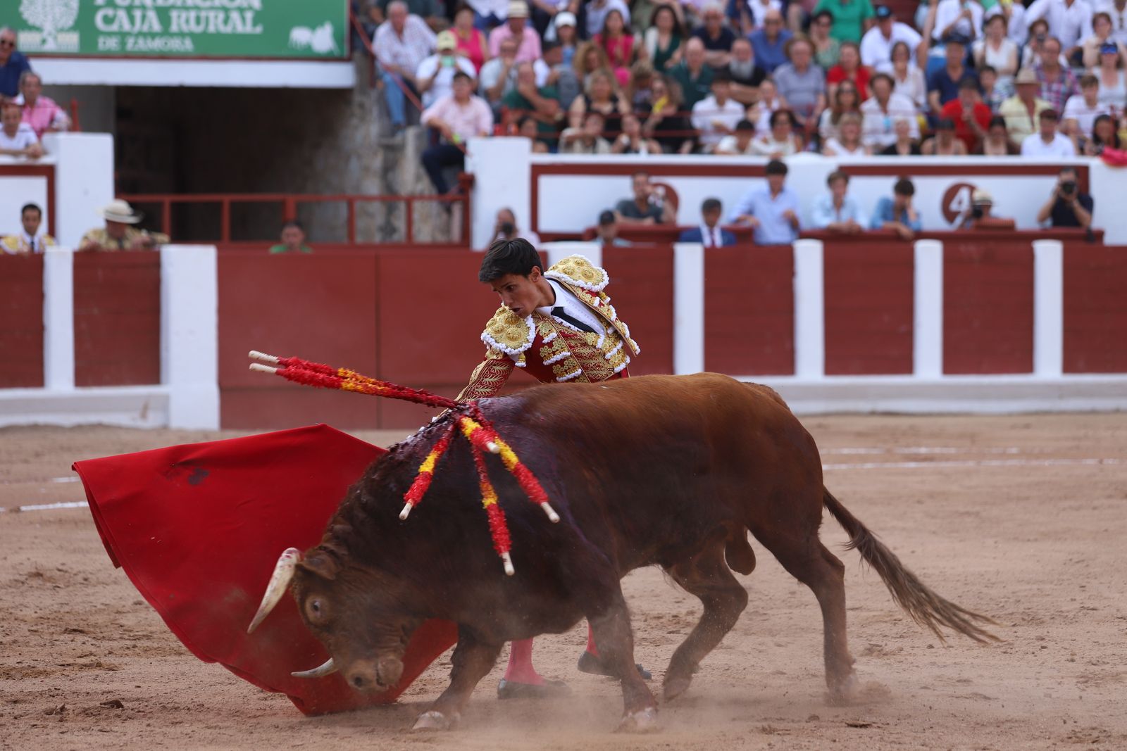 GALERÍA | Corrida de la Feria Taurina de San Pedro 2025