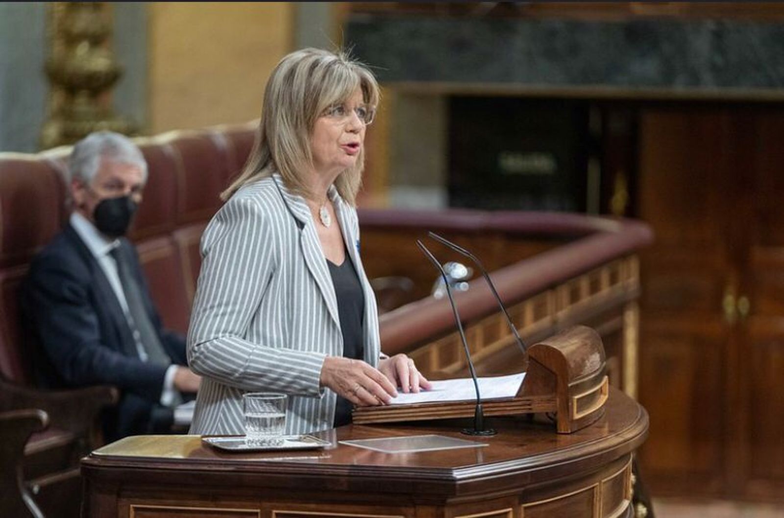 Elvira Velasco en el Congreso de los Diputados
