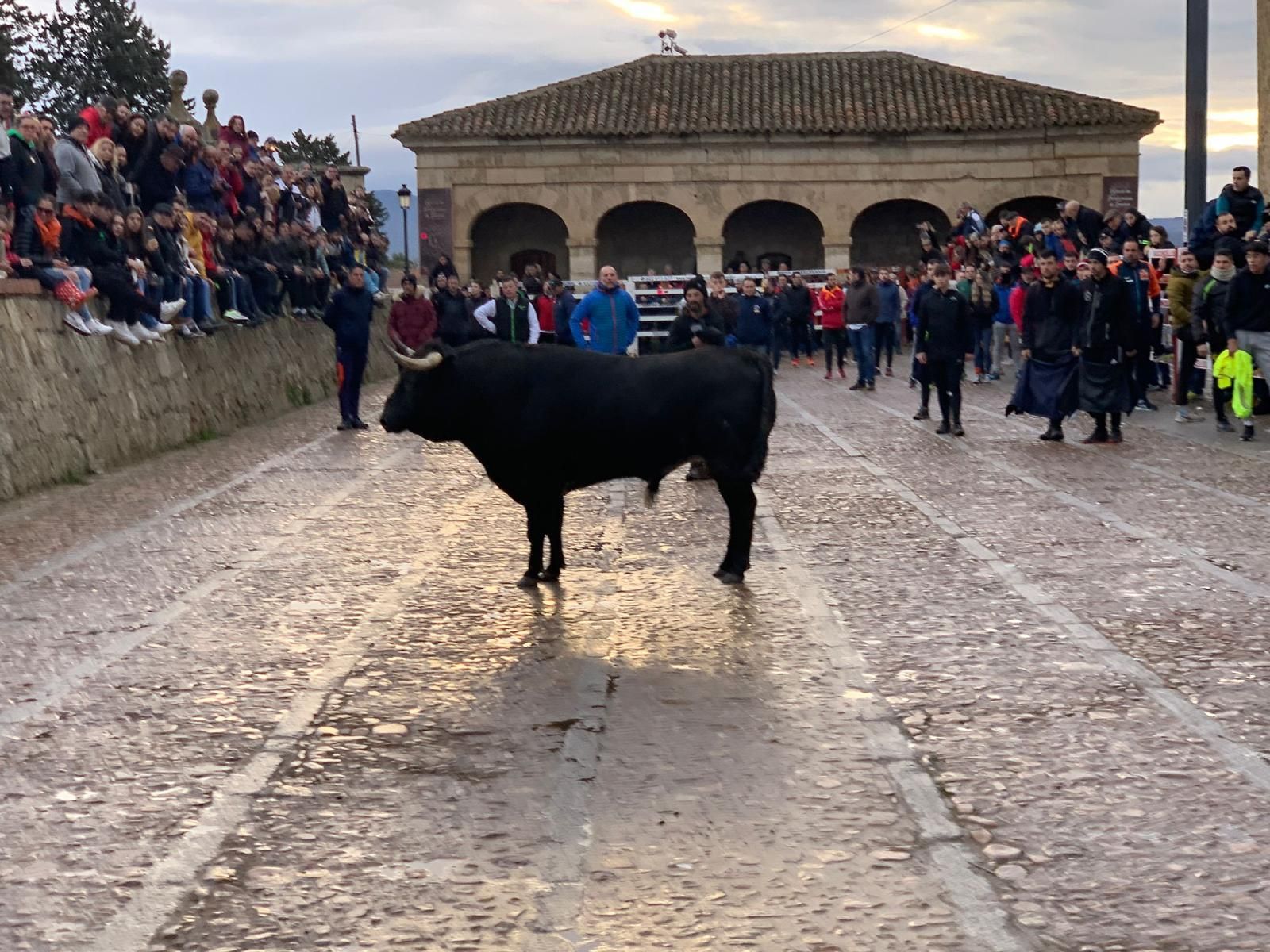 toro-del-aguardiente-en-ciudad-rodrigo-carnaval-24-26