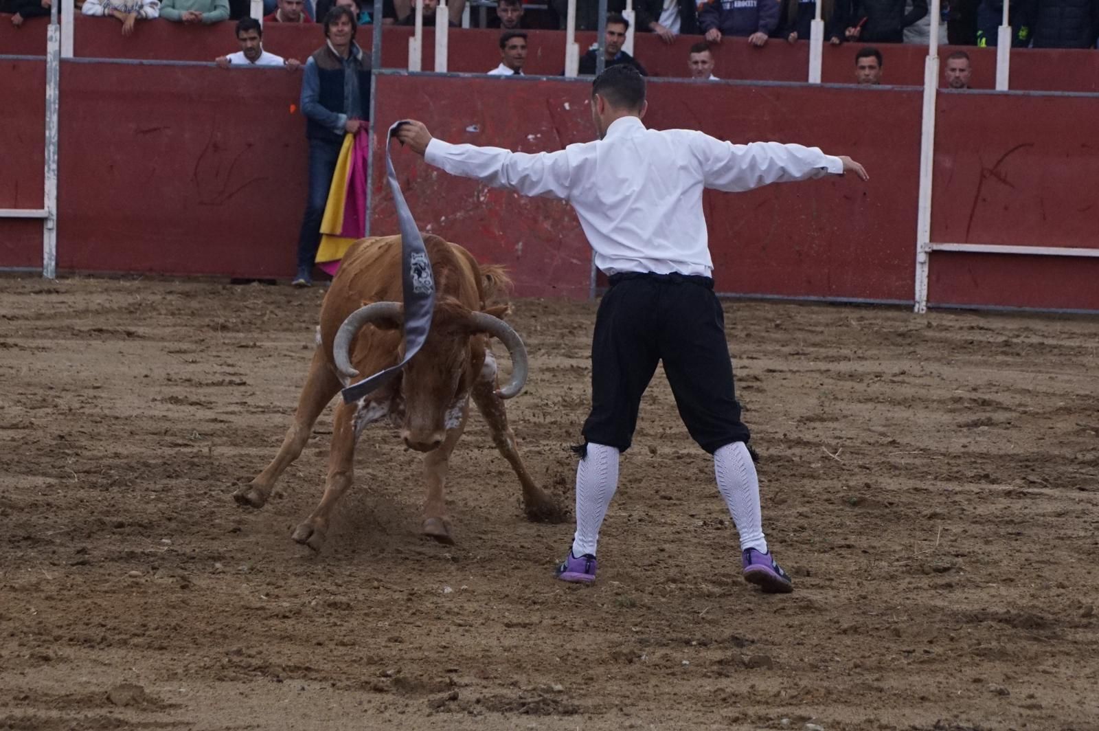 whatsapp-image-2023-05-22-at-20-19-15