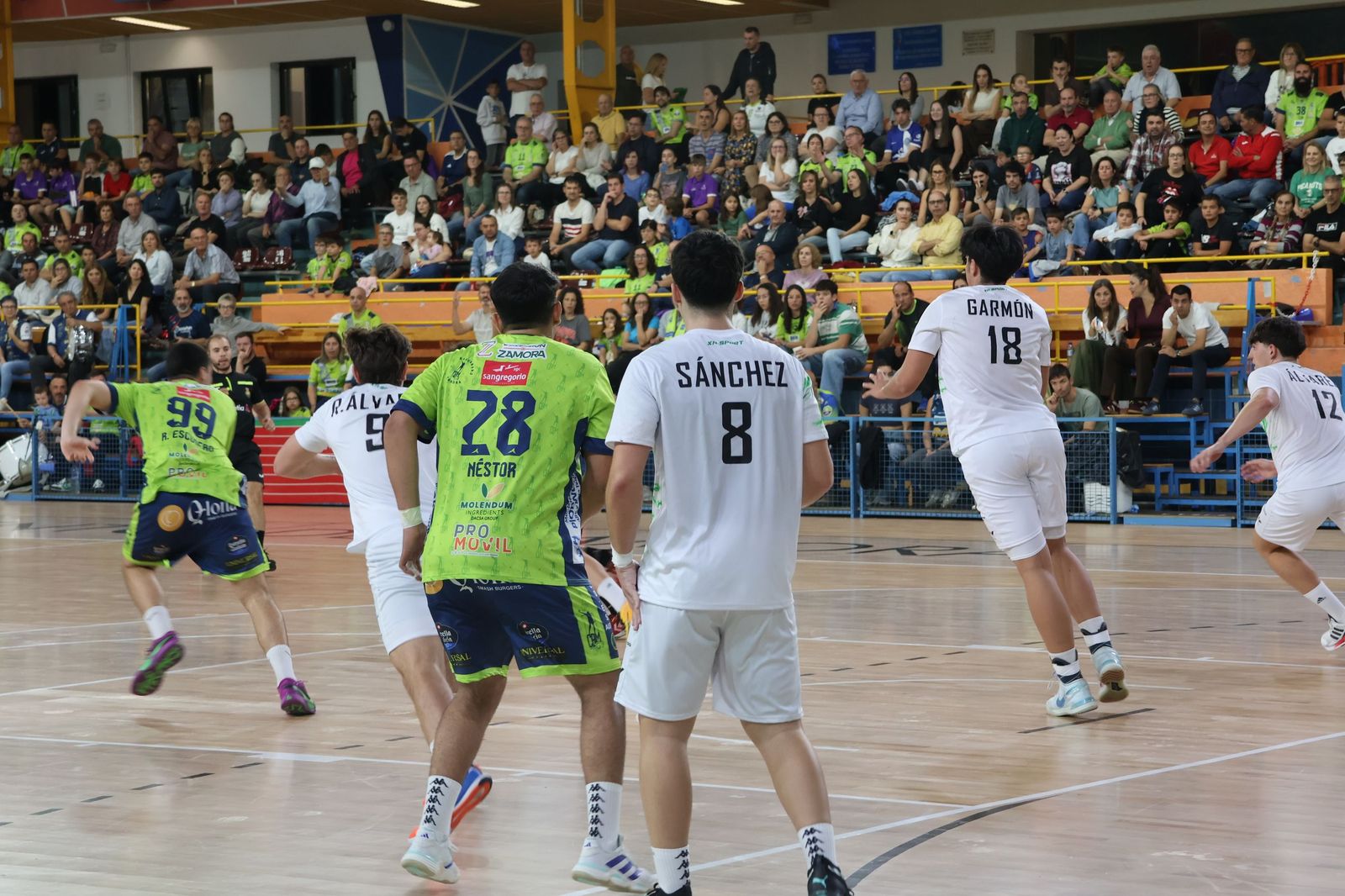 BM Zamora - Ademar León (31).JPG