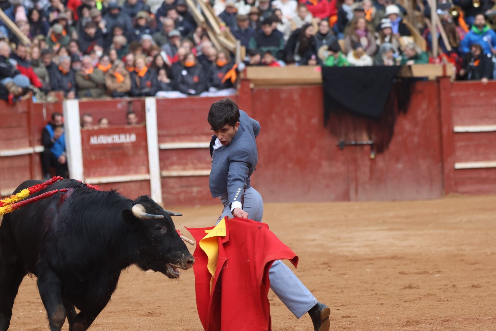 Novillada sin picadores del bolsín taurino y rejones en Ciudad Rodrigo