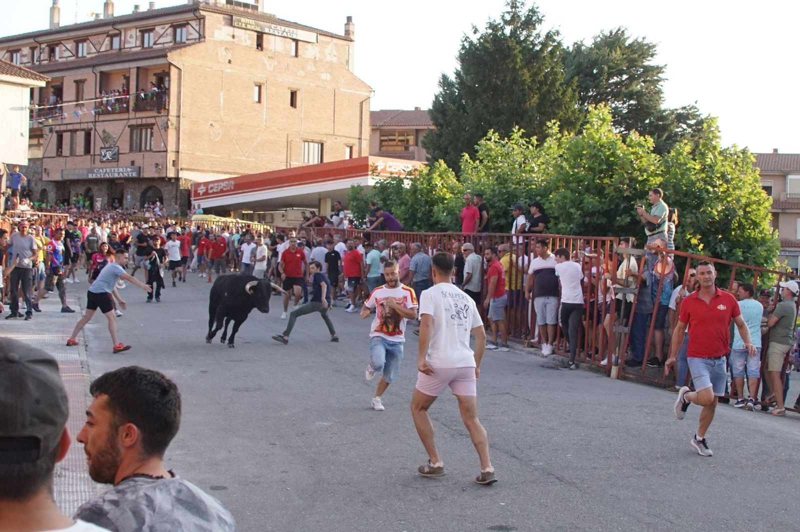 whatsapp-image-2024-08-04-at-21-08-58