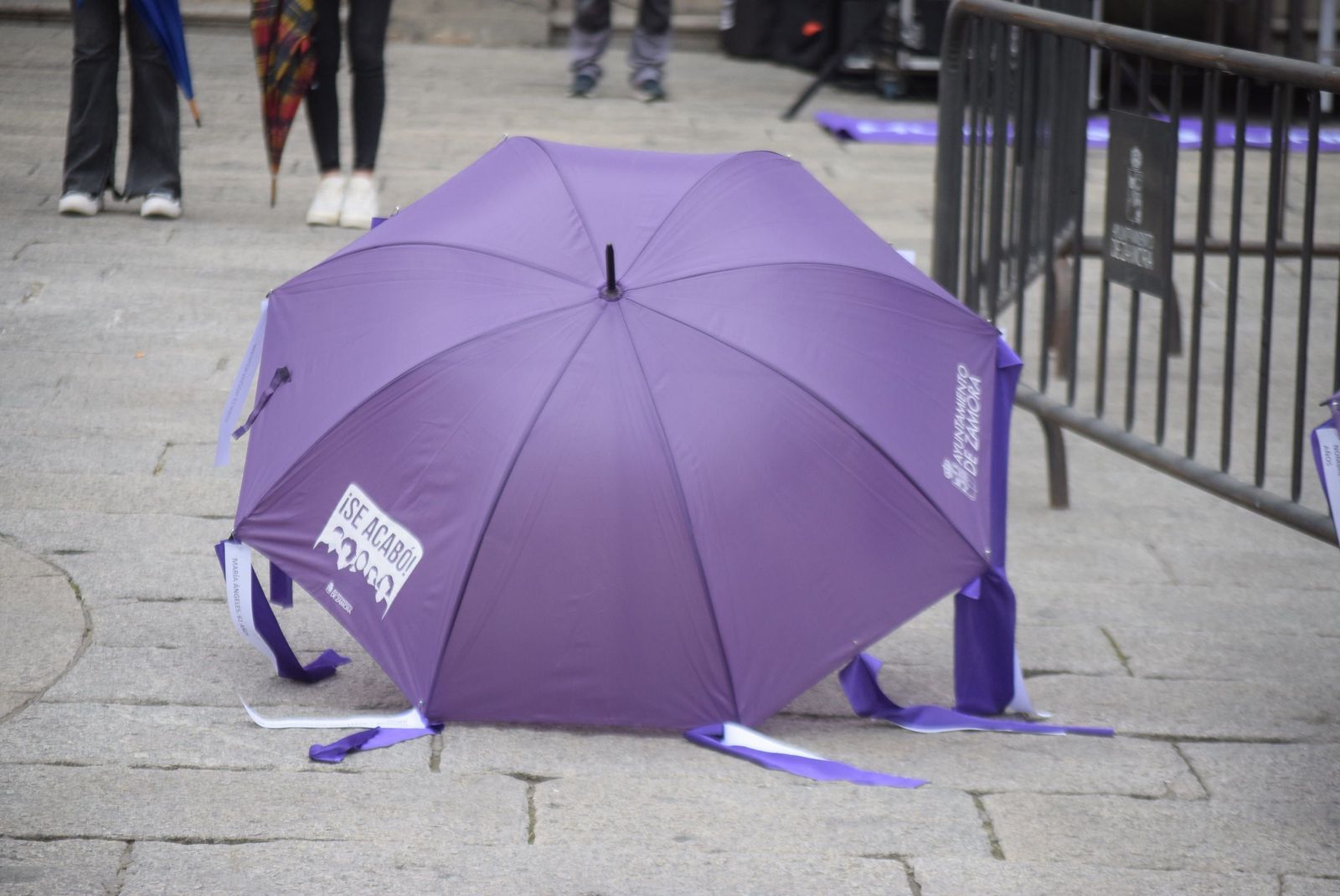 concentracion-25-n-en-zamora-6