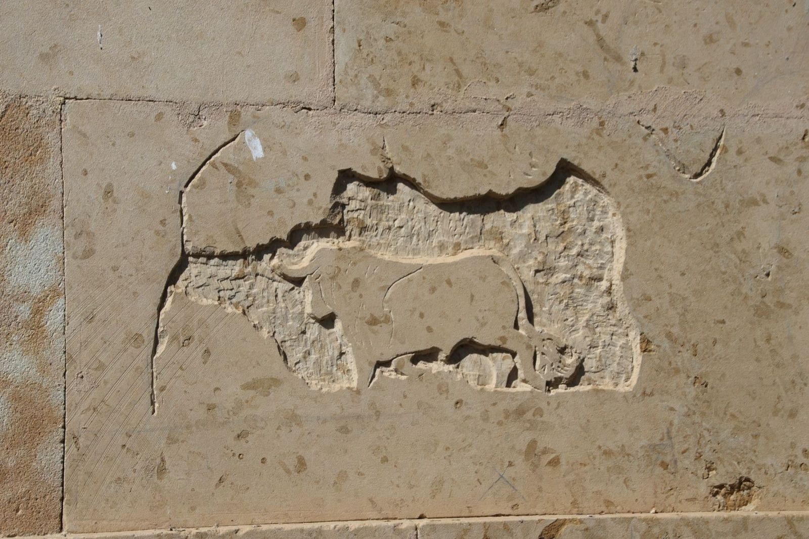 20230614095139-img-2703