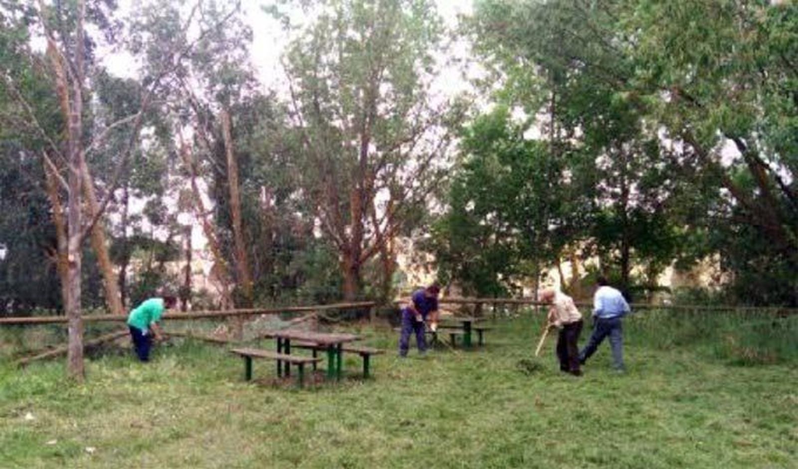 ProCulTo realiza trabajos de mantenimiento en el sendero entrepuentes de la ribera norte del Duero