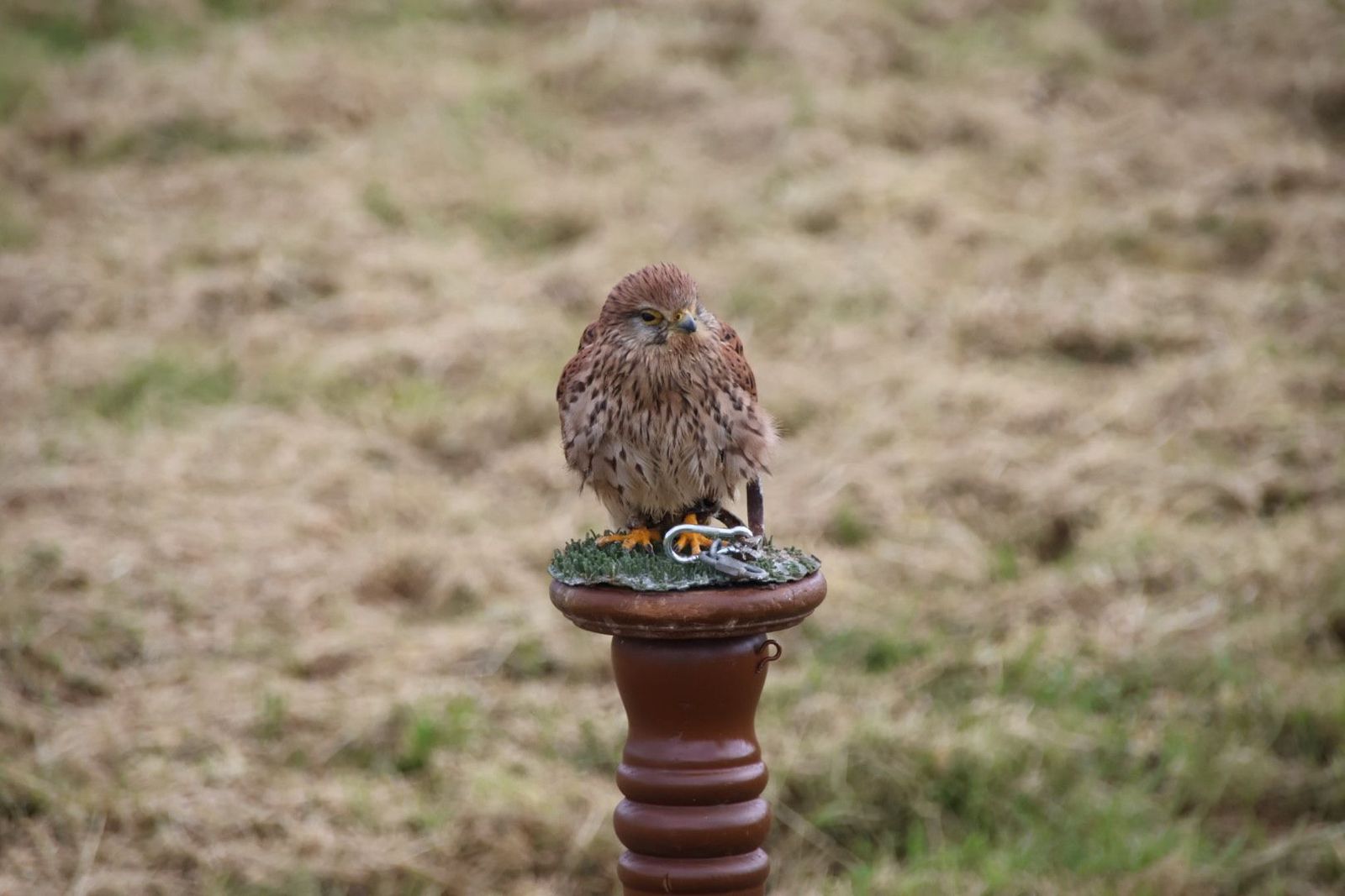 20240501101953-img-2854