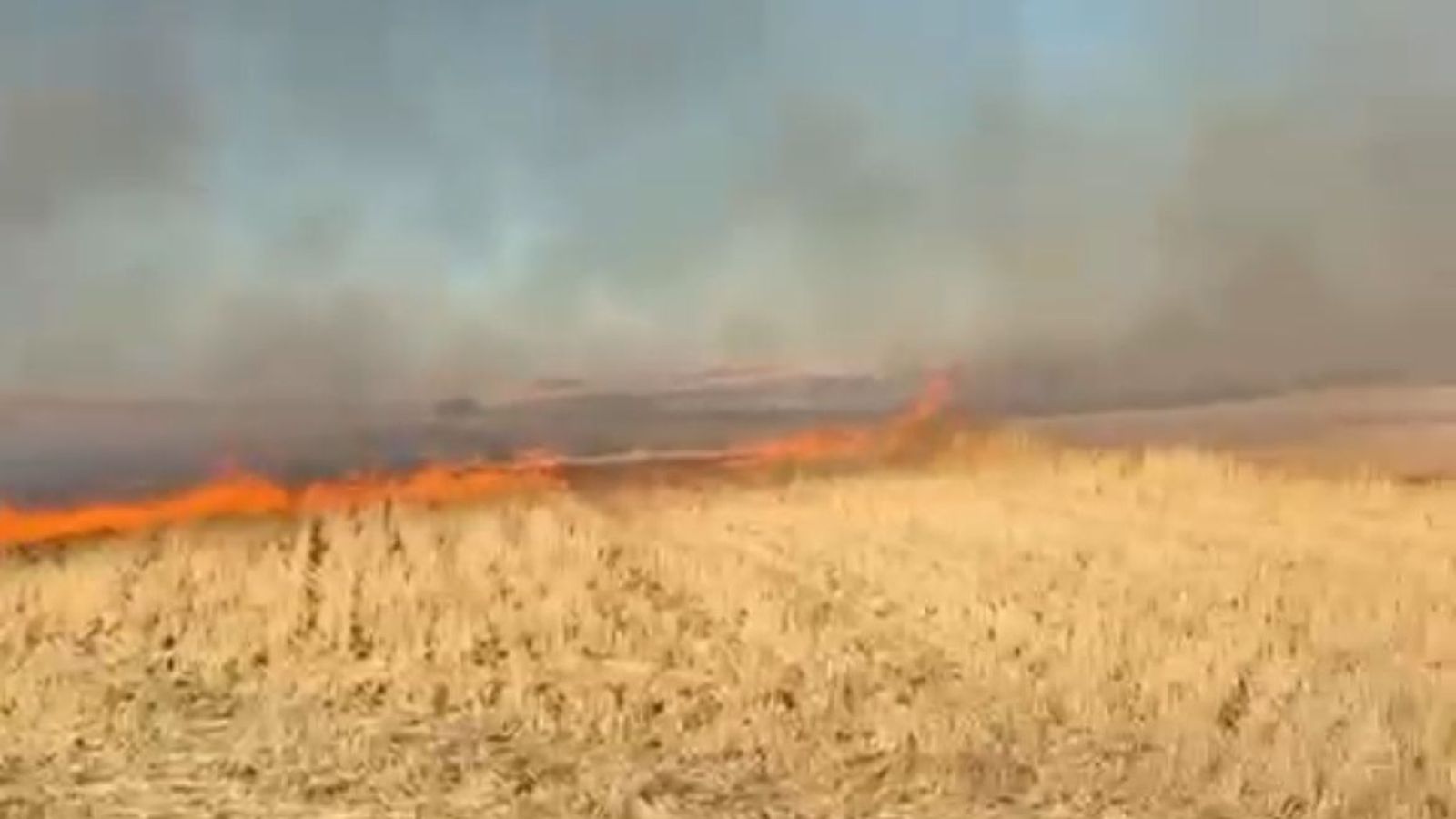 Incendio forestal en Cantaracillo