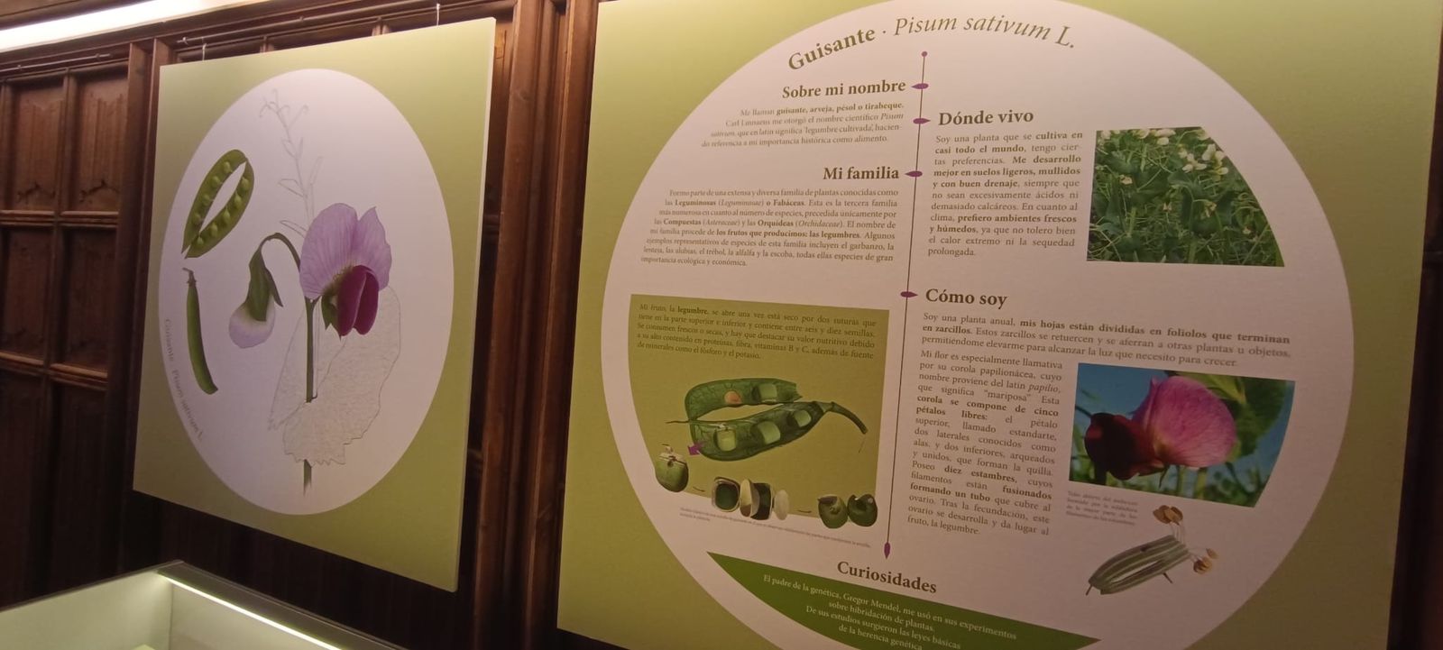 exposicion-botanica-21