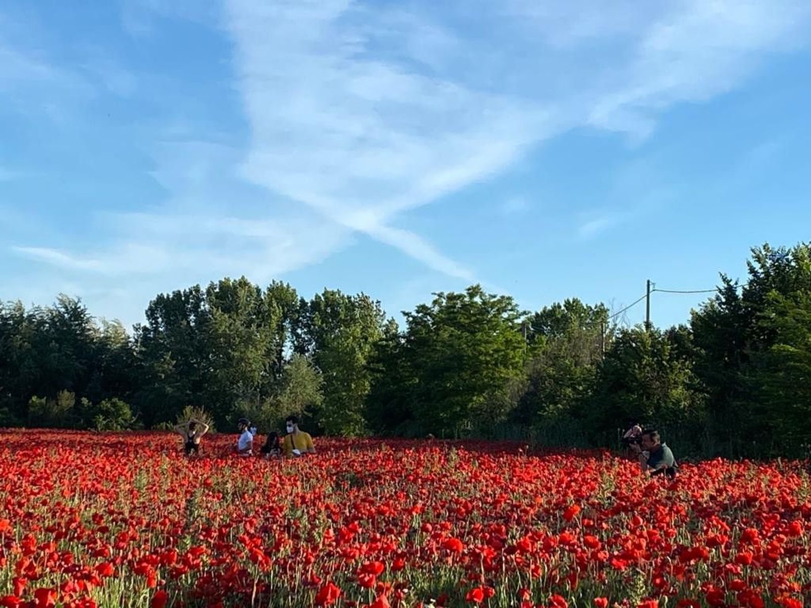 WhatsApp Image 2020 05 25 at 12.56.07