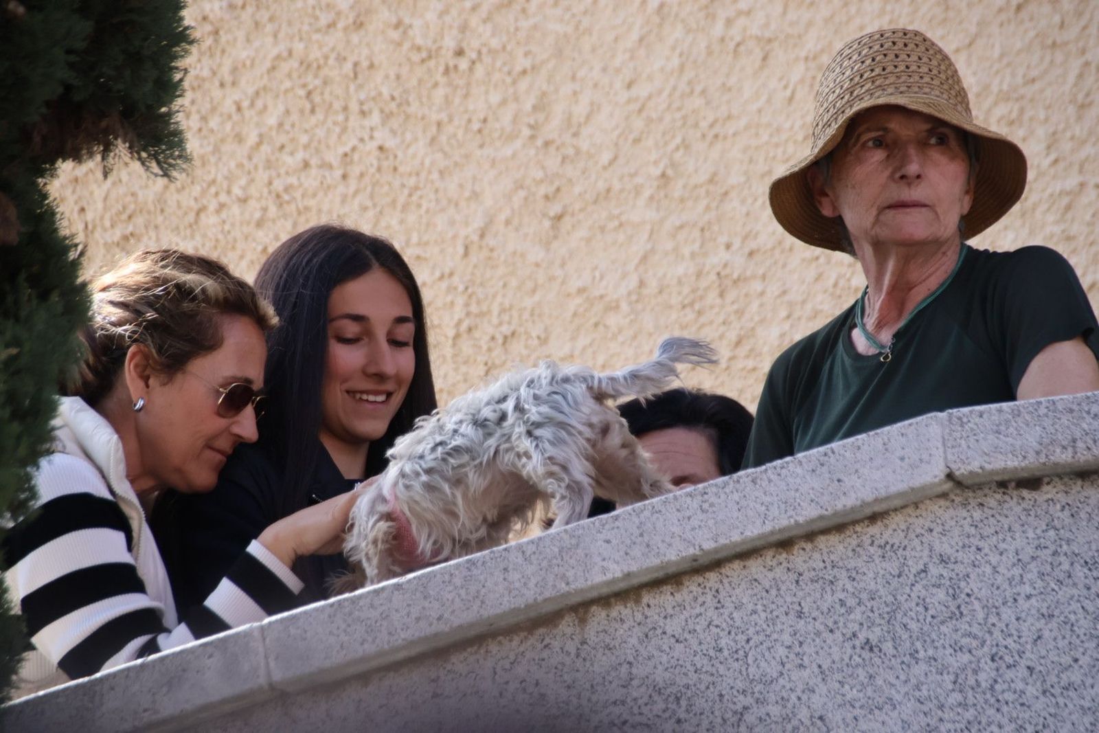 20230408155234-img-2282