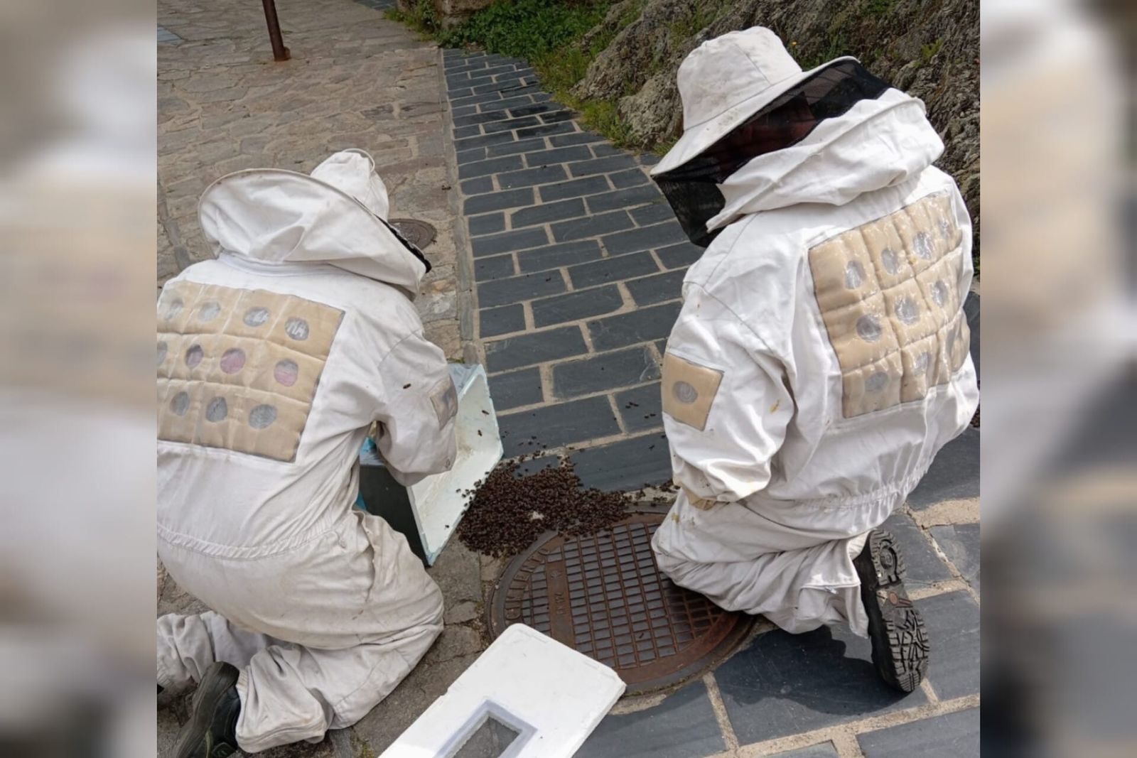 Bomberos con el enjambre de abejas