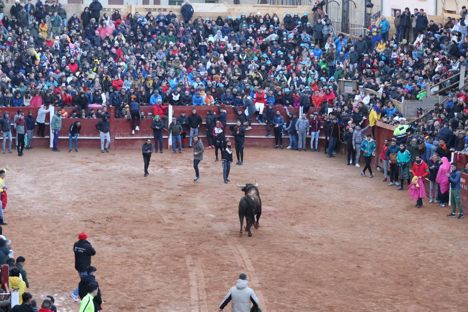 20240210183807-img-5994