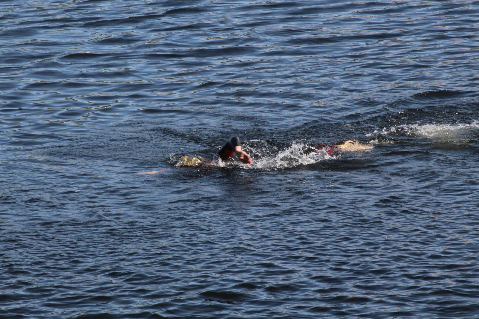 Campeonato de Castilla y León de Acuatlón
