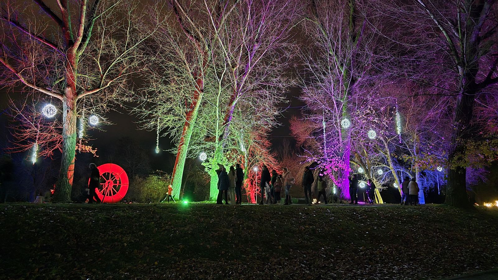 Inauguración de la Navidad en Santa Marta