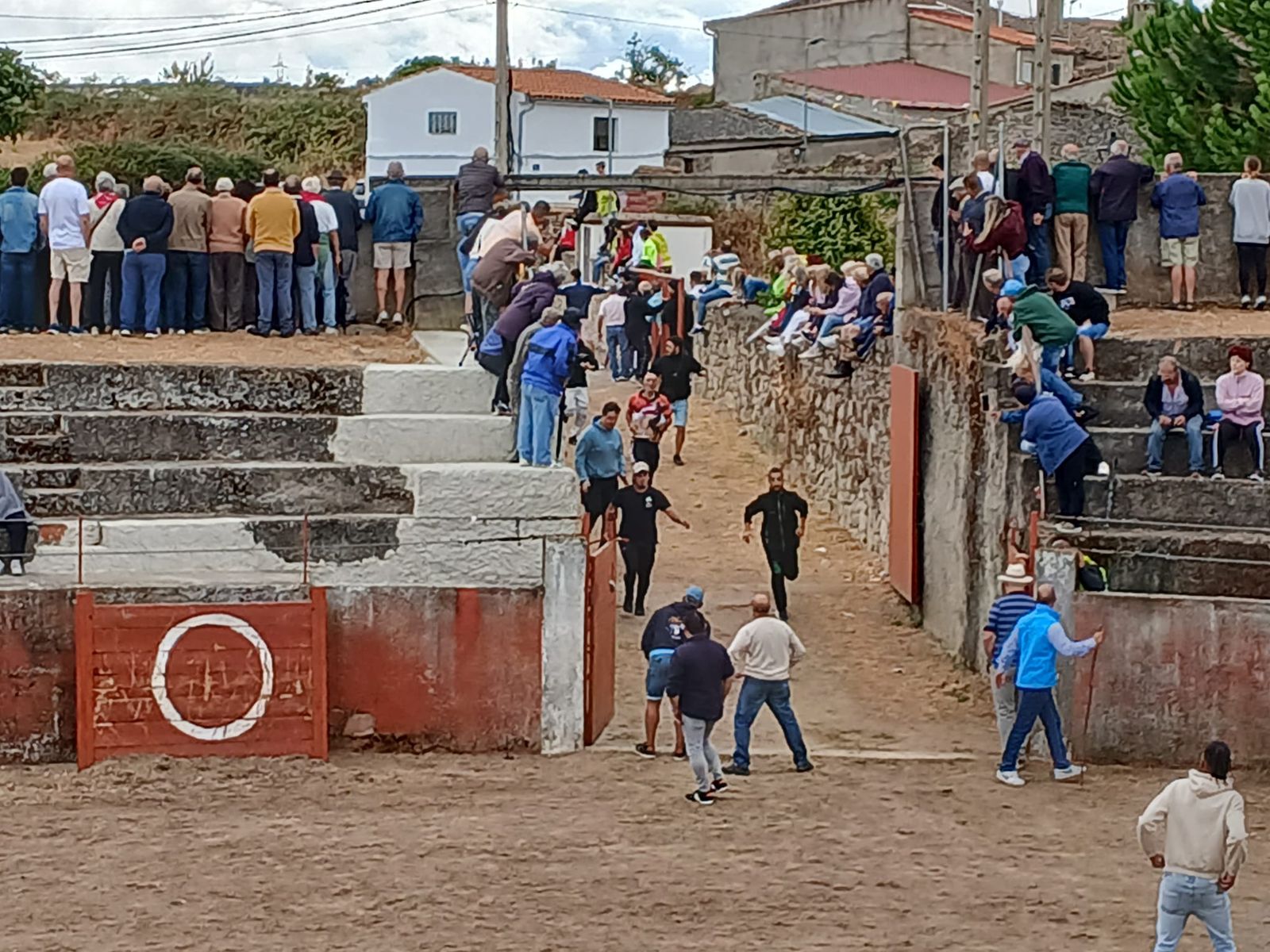 Segundo encierro con novillos de Valdeflores en Pereña de la Ribera