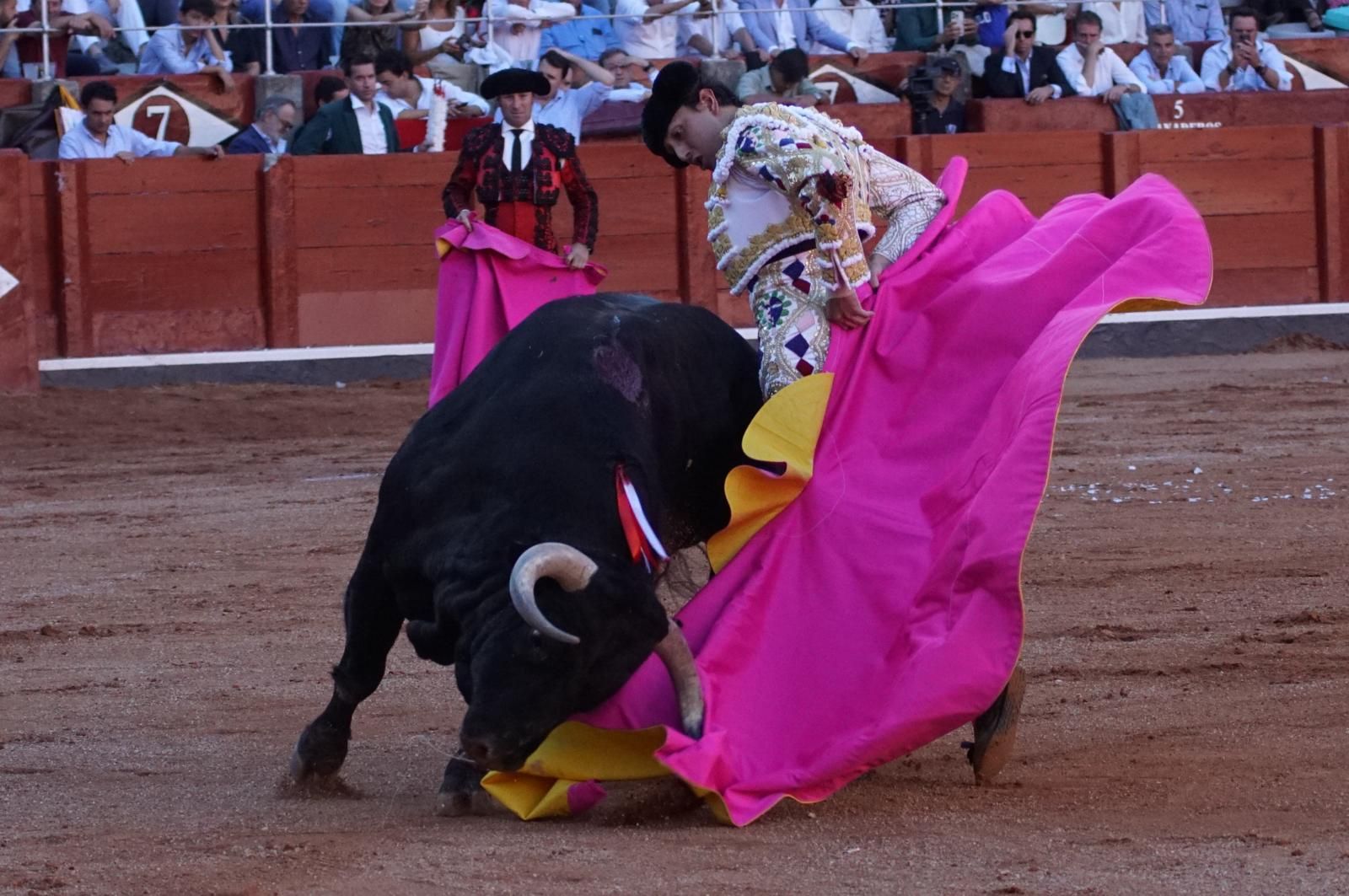 Emilio de Justo, Juan Ortega y Roca Rey inauguran el cartel de figuras en la feria de Salamanca: la corrida de Garcigrande en imágenes