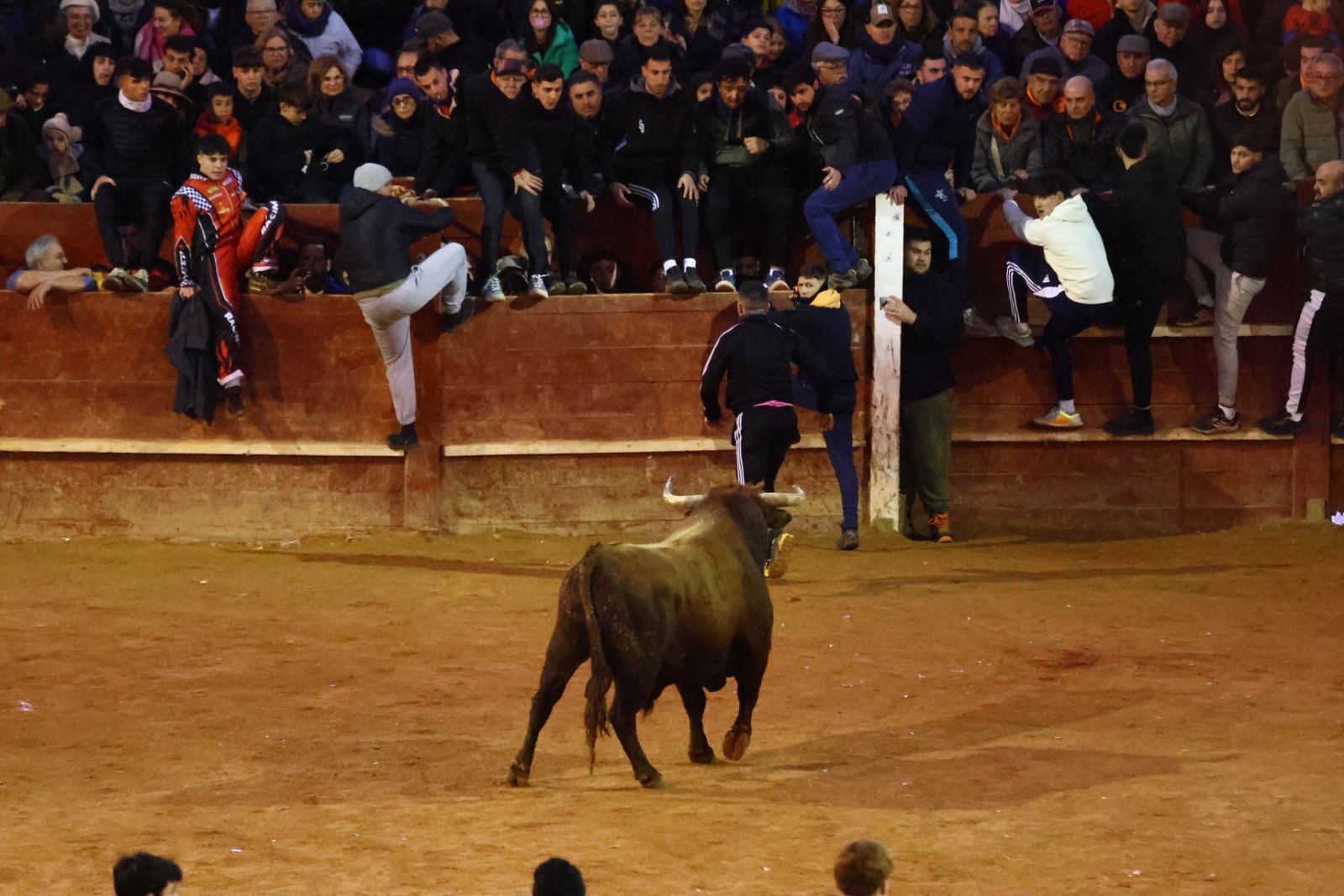 Capa y desencierro de tarde de lunes en el Carnaval del Toro 2026