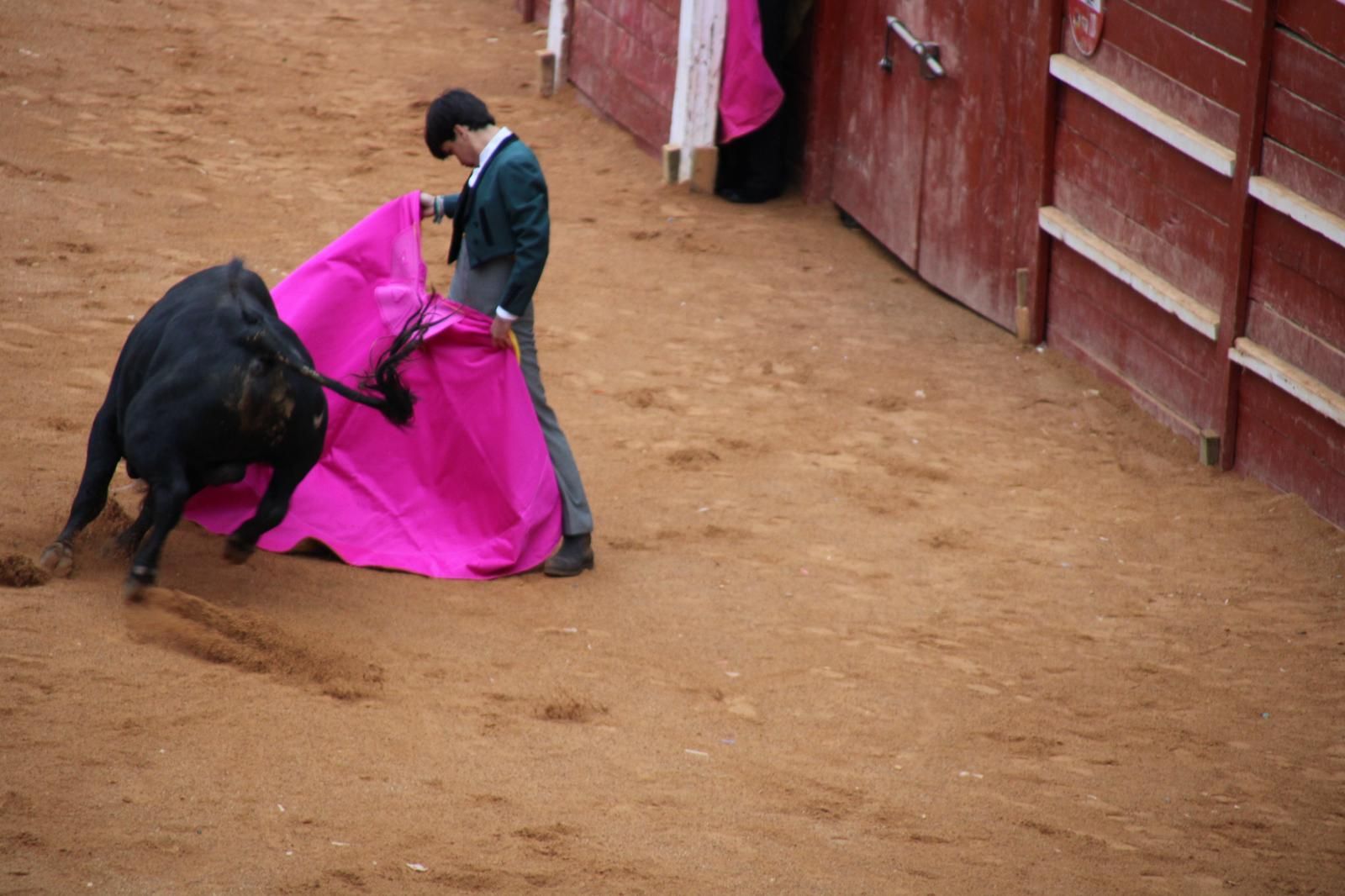 whatsapp-image-2025-03-02-at-18-54-57