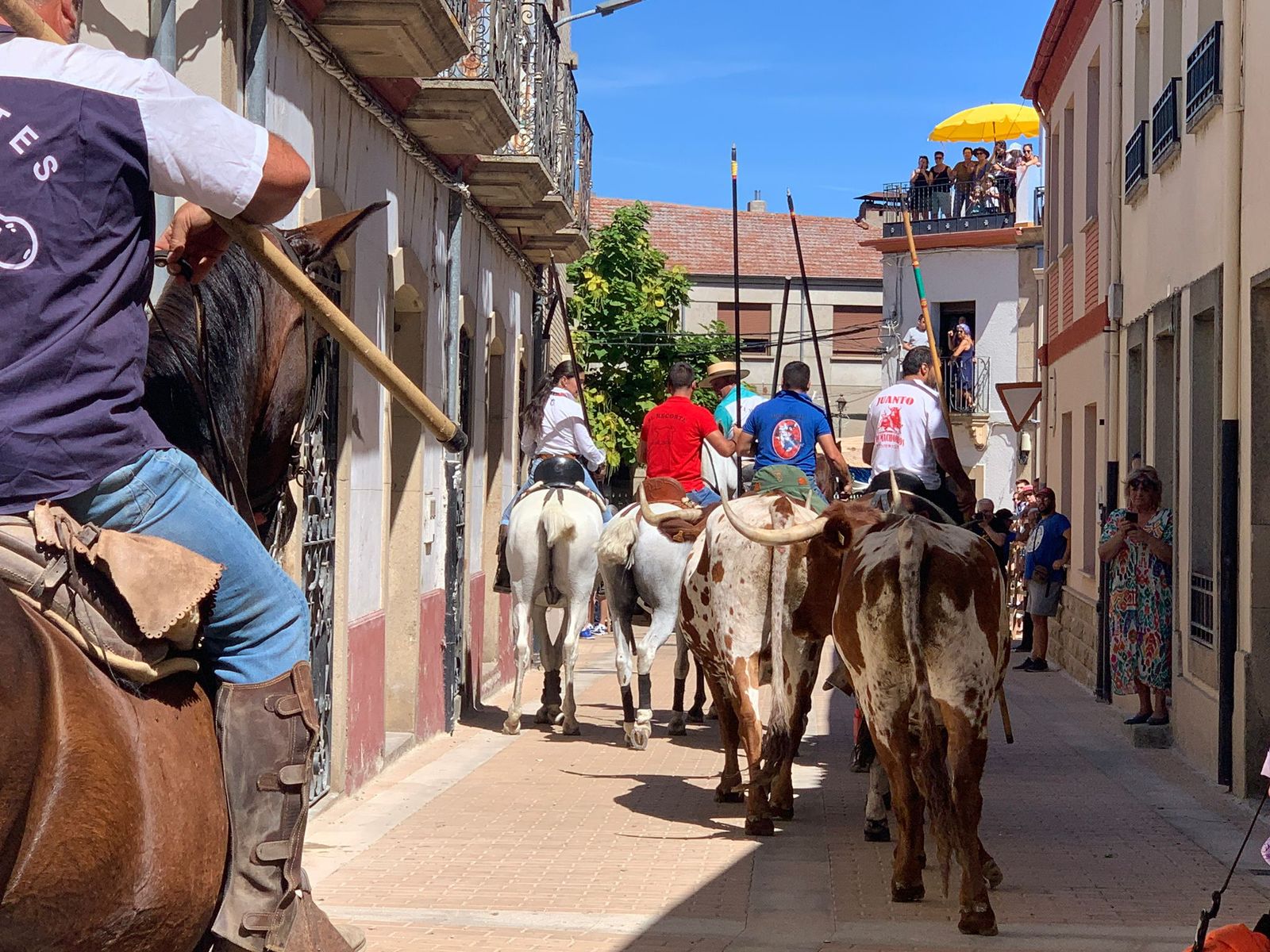 whatsapp-image-2022-08-21-at-12-55-36-pm