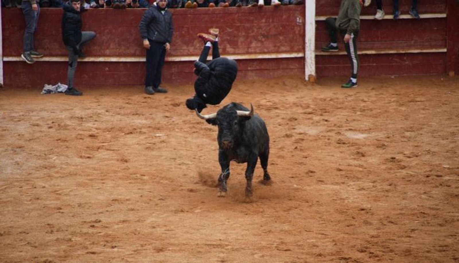 Capea matutina lunes de Carnaval 2025, con astados de Cano y Victorino en Ciudad Rodrigo