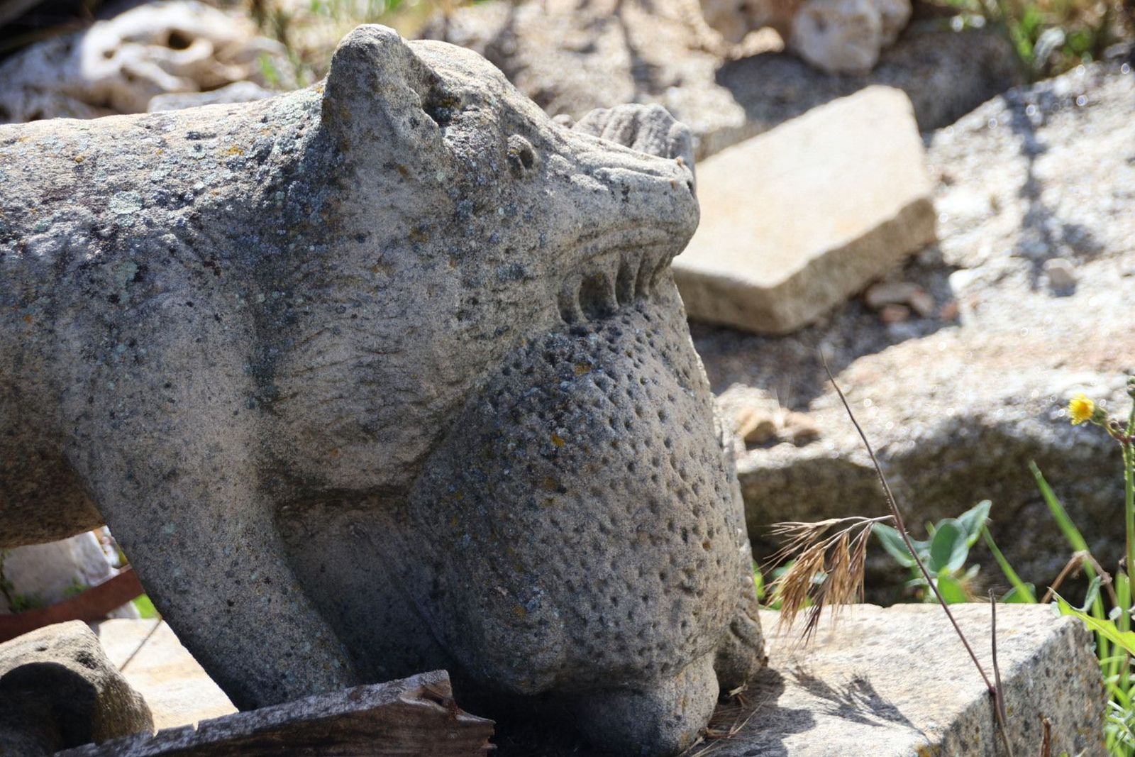 20230614092758-img-2675