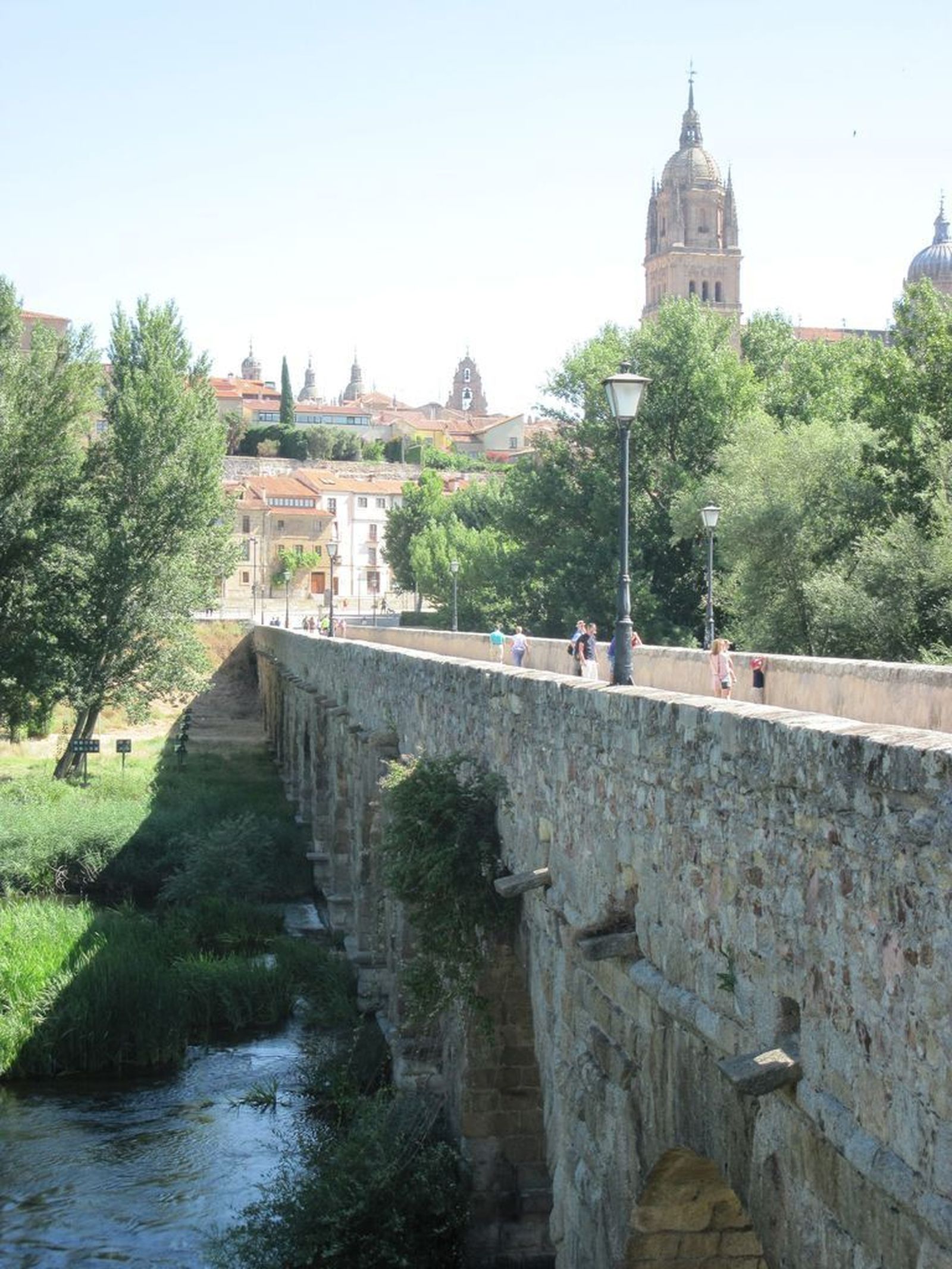 Vegetación en puente romano (1)