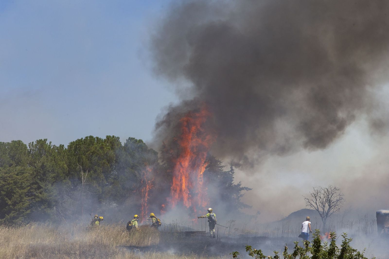 Incendio en Morales del Vino . ICAL (7)
