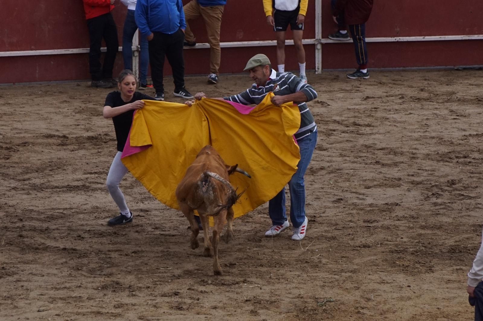 Concurso de cortes y capea popular en Villamayor