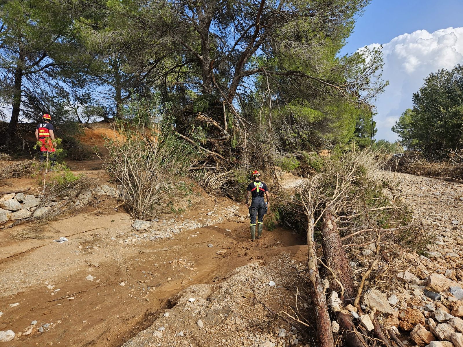 Los bomberos del Consorcio Provincial de Zamora en Alfafar
